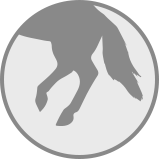 anti slip surface icon